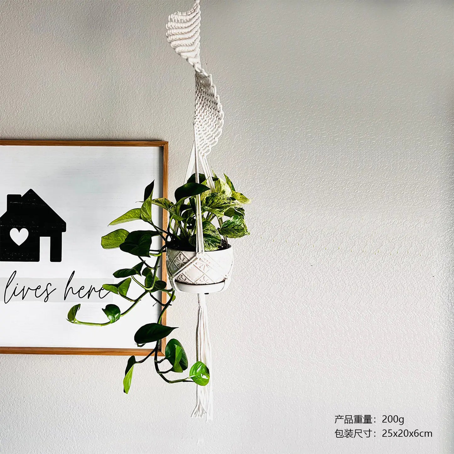 Hanging Plant Basket