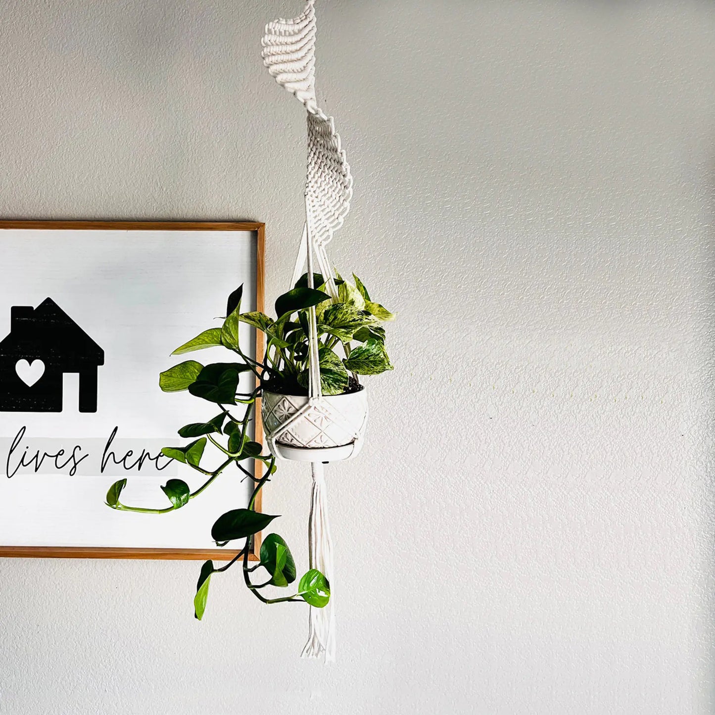 Hanging Plant Basket