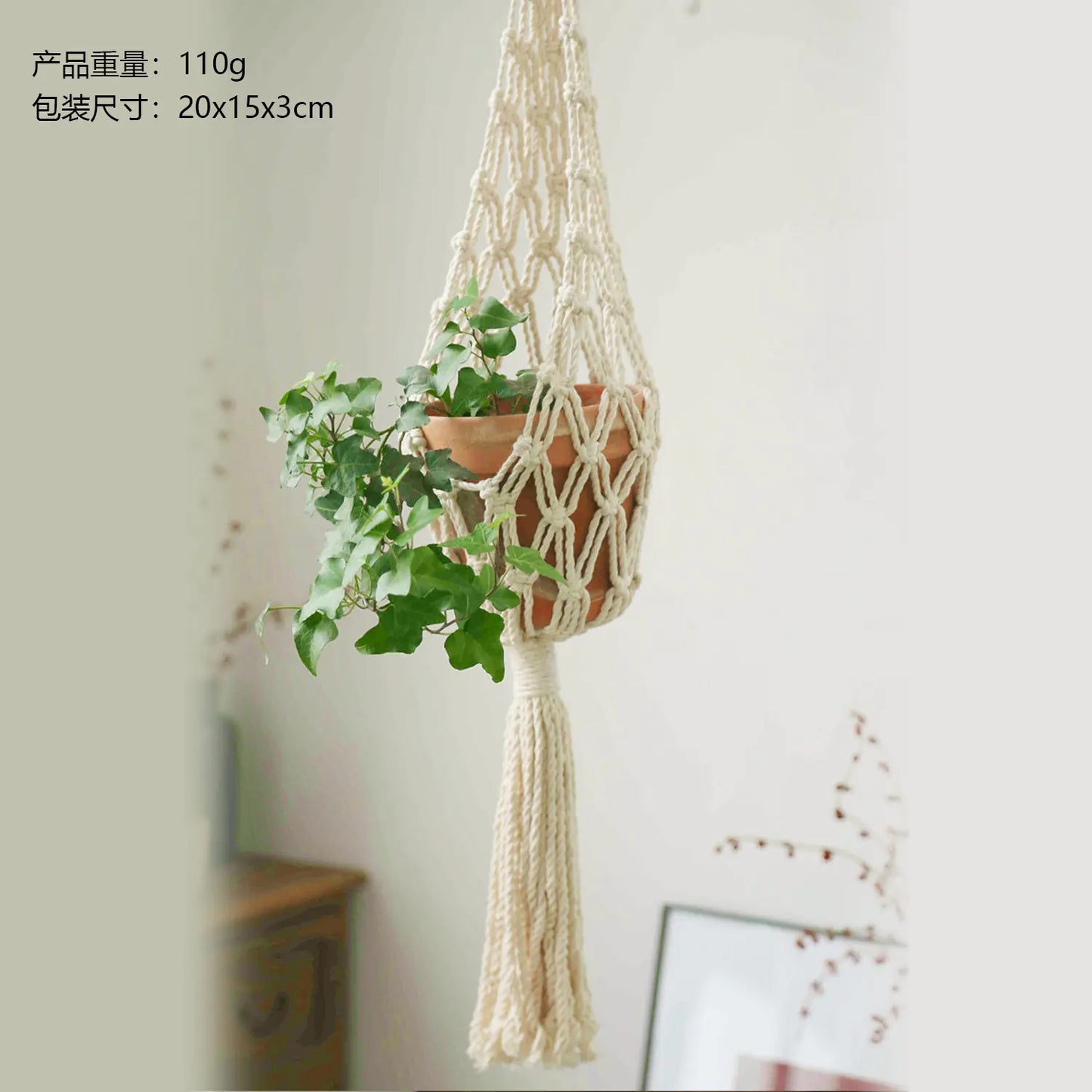 Hanging Plant Basket