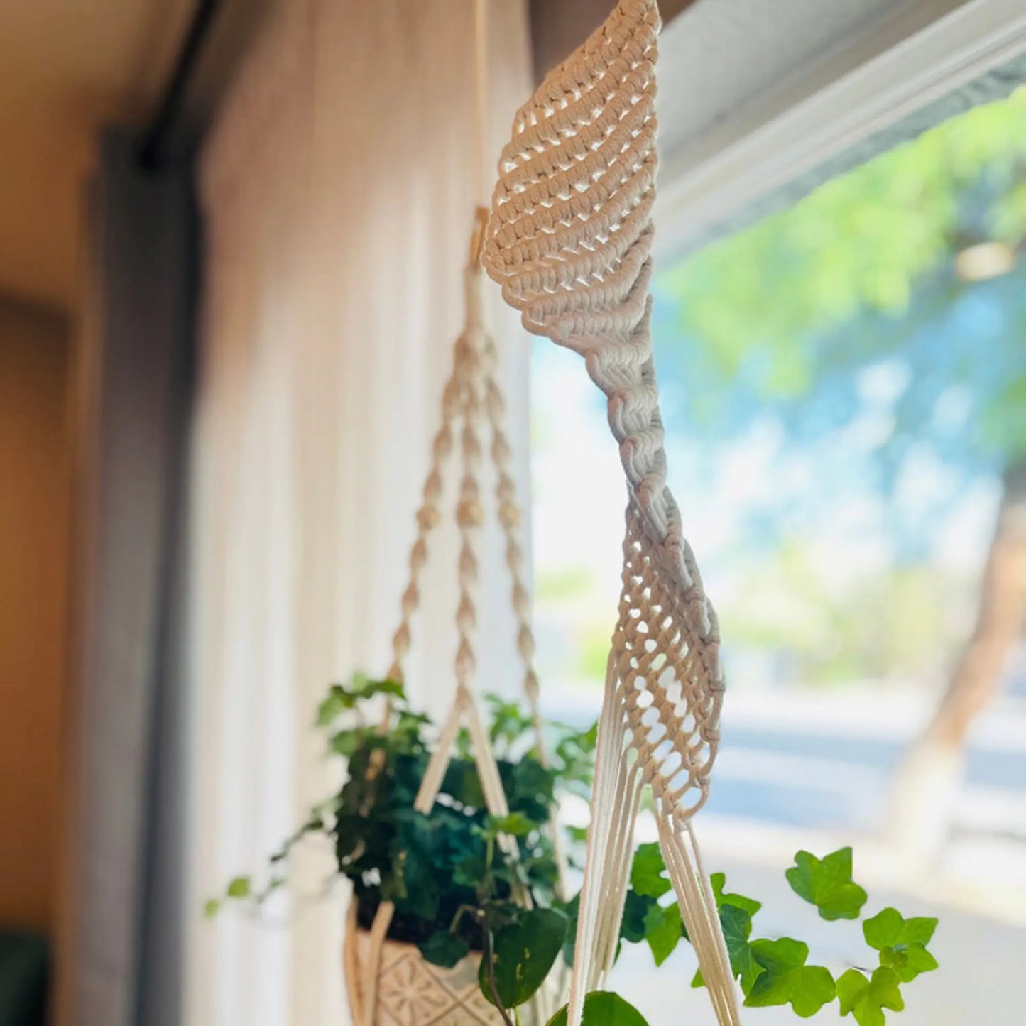 Hanging Plant Basket