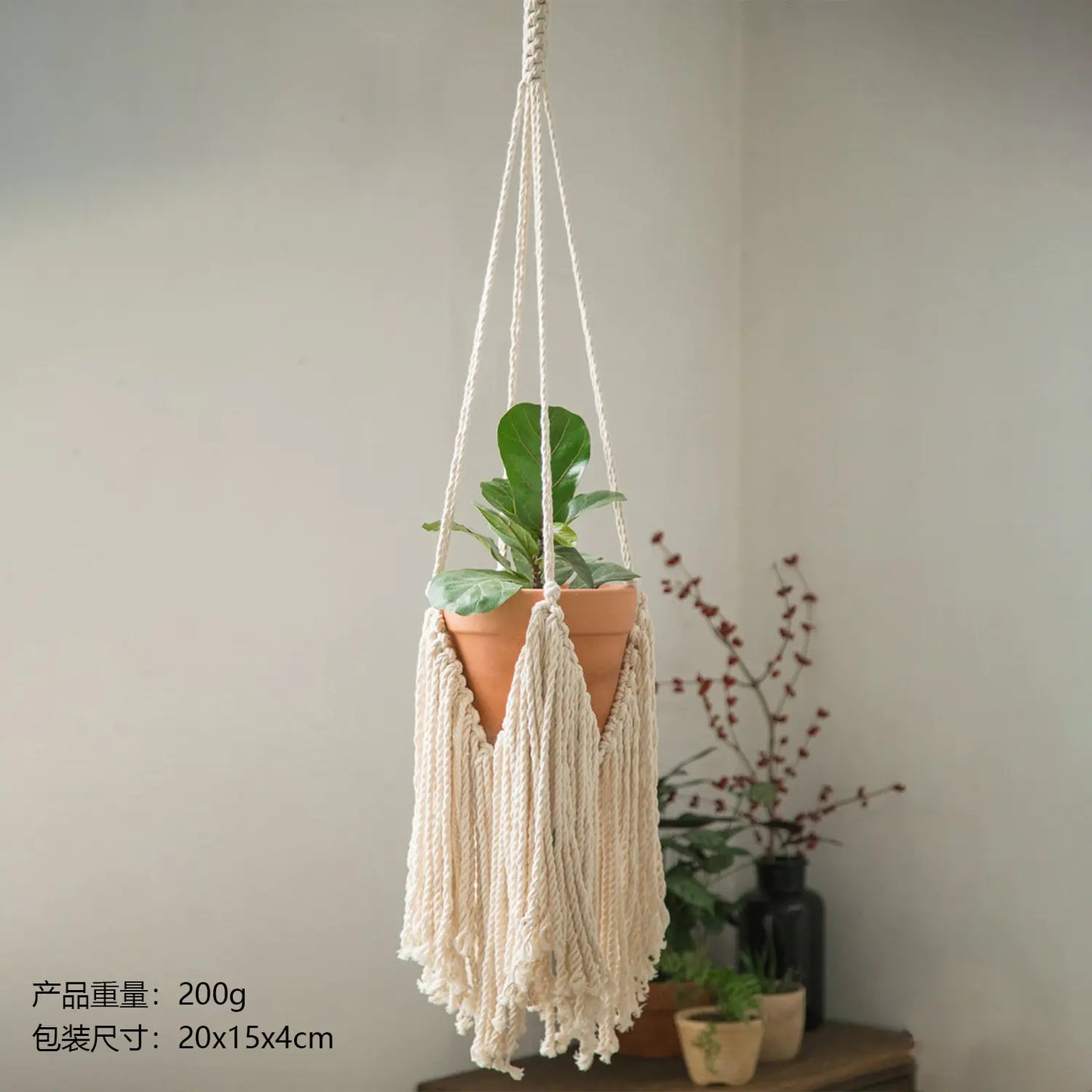 Hanging Plant Basket