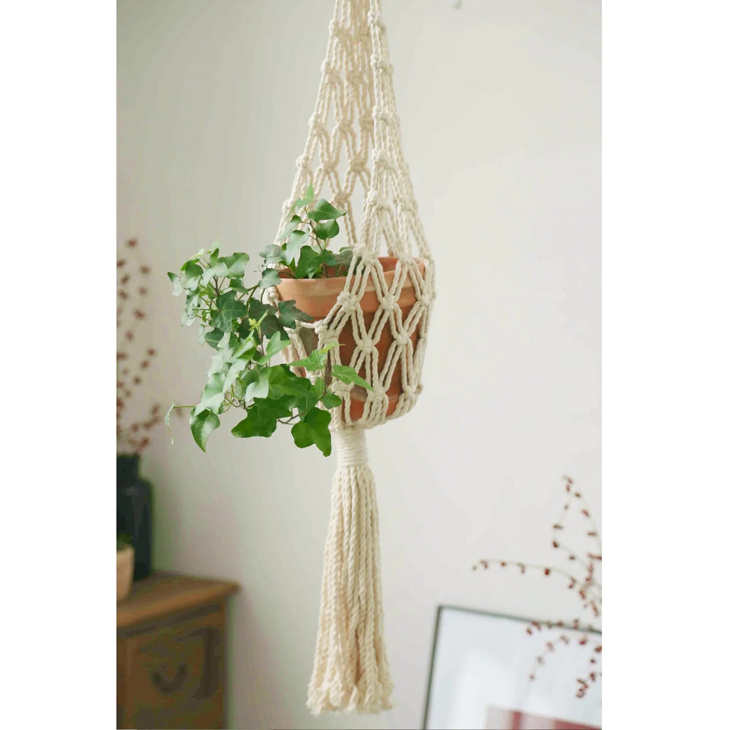 Hanging Plant Basket